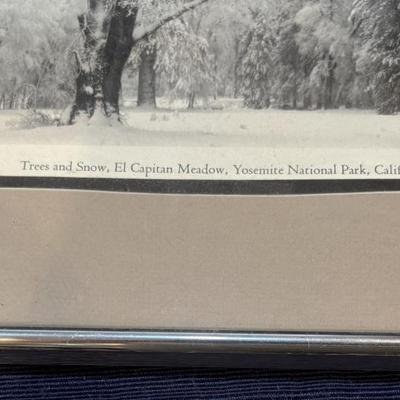 Ansel Adam”s Trees and Snow