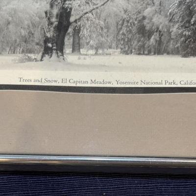 Ansel Adam”s Trees and Snow