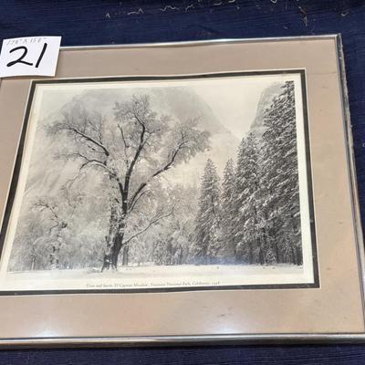 Ansel Adam”s Trees and Snow