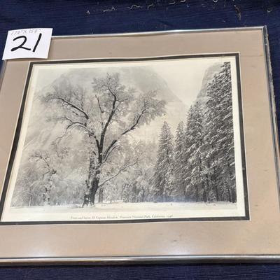 Ansel Adam”s Trees and Snow