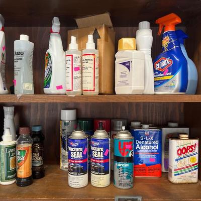 Sale Photo Thumbnail #156: Misc. sprays, fertilizer, shelf