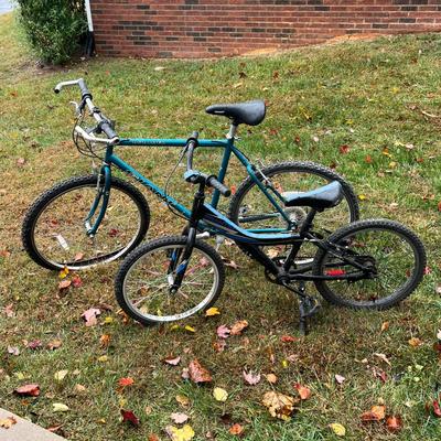 Two “Giant” Brand Bicycles: Boulder & Frantic (G-BC)