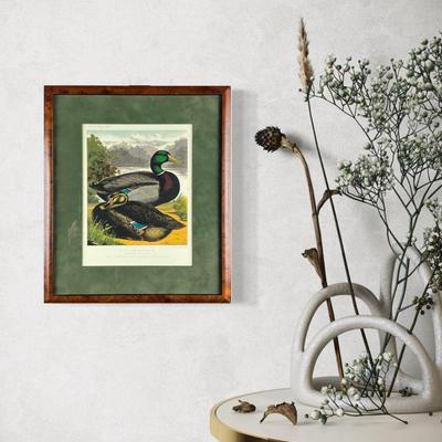001 Waterfowl Print In Burl Wood Frame With Matting Drawn By Ludlow