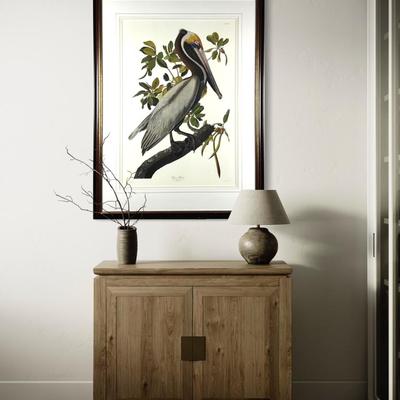 013 After J. J. Audubon Brown Pelican Birds of America Reproduction Print