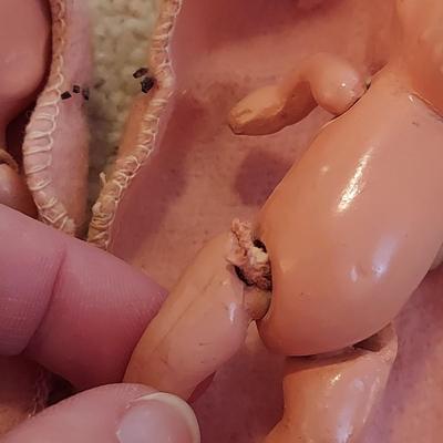 Vintage Collectable Dolls (BB2-BBL)