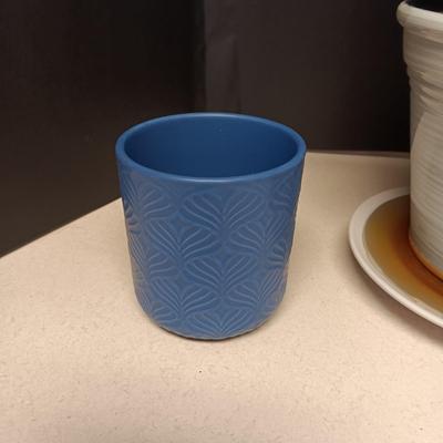 LIVE PLANT AND CERAMIC SOAP DISPENSER PLUS POTS