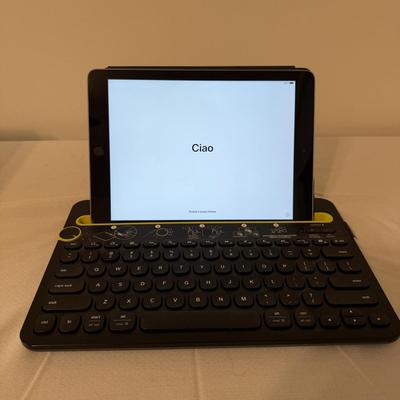 iPad, Logitech Keyboard & Native Union Charger (O-MG)