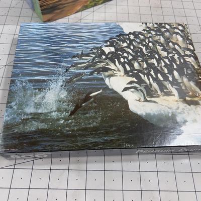 Sale Photo Thumbnail #612