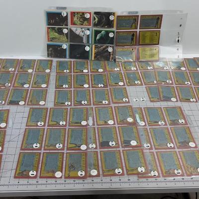 Sale Photo Thumbnail #730