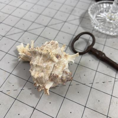 Book Ends, Ceramic Bowl, Ring holder, Shell