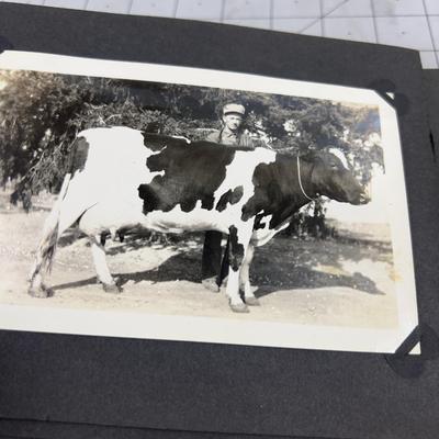 Old Photo Album, Class Photos 1928 &PRIZE Milk Cow!