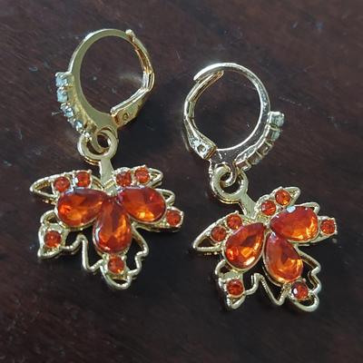 Fashion Earrings