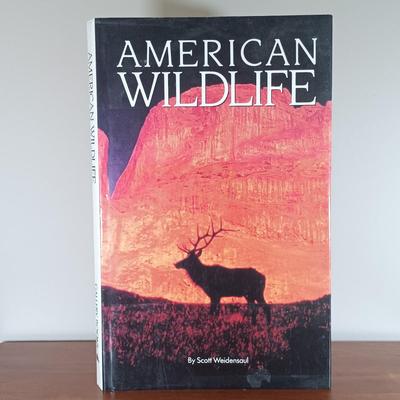 LOT 112: Collection of Vintage National Geographic Magazines and Books on the American Wilderness