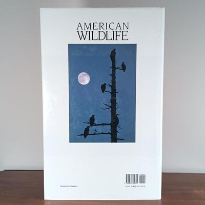 LOT 112: Collection of Vintage National Geographic Magazines and Books on the American Wilderness