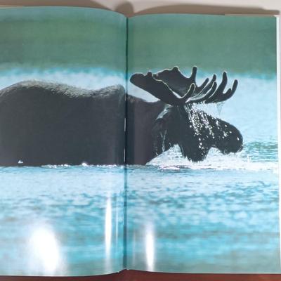 LOT 112: Collection of Vintage National Geographic Magazines and Books on the American Wilderness