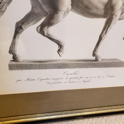 LOT 77M: Pair of Framed Art Prints of Cavallo Statue
