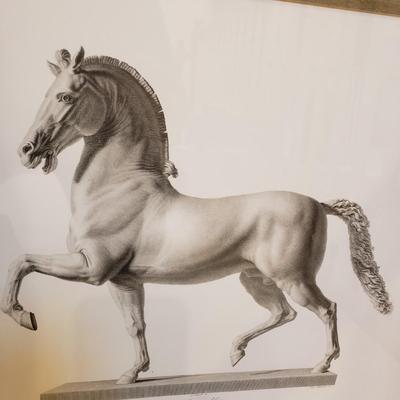 LOT 77M: Pair of Framed Art Prints of Cavallo Statue