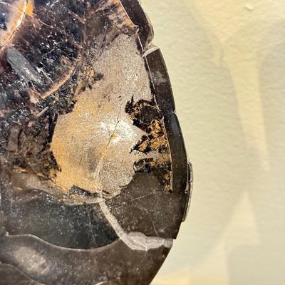 LOT 164F: Nautilus Type Cross Section Slate, Slate Top Flower Frog, Laughing Budda Figure & Stone Carved Mini Teapot