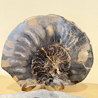 LOT 164F: Nautilus Type Cross Section Slate, Slate Top Flower Frog, Laughing Budda Figure & Stone Carved Mini Teapot