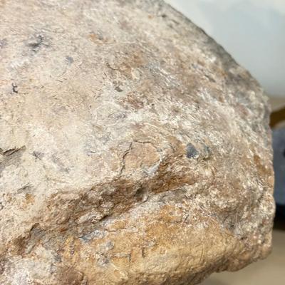 LOT 164F: Nautilus Type Cross Section Slate, Slate Top Flower Frog, Laughing Budda Figure & Stone Carved Mini Teapot