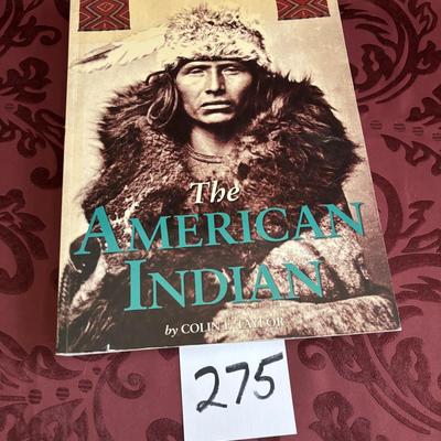 The American Indian