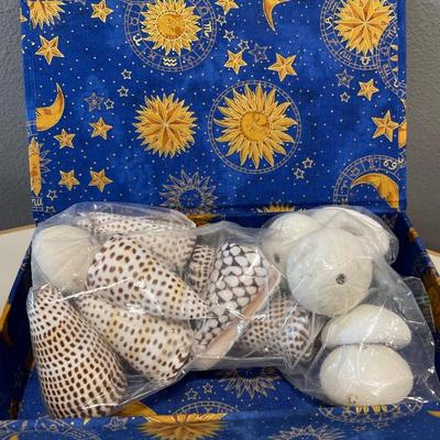 Sea shells in a blue celestial pattern organizer box