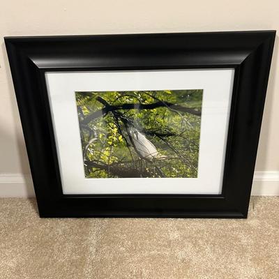 Four Framed Landscape Photographs (BGB-RG)