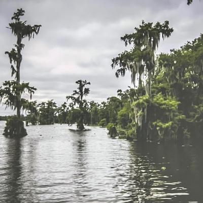 Four Framed Landscape Photographs (BGB-RG)