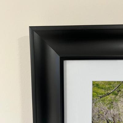 Four Framed Landscape Photographs (BGB-RG)