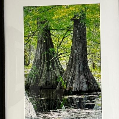 Four Framed Landscape Photographs (BGB-RG)