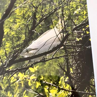 Four Framed Landscape Photographs (BGB-RG)