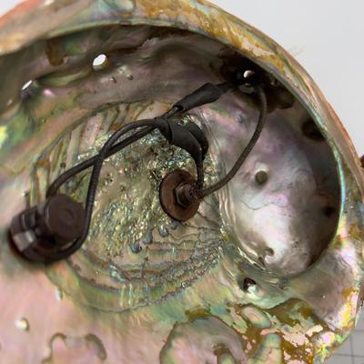 Shell LAMP.  WOW!!! Unique. Real! 