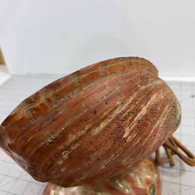 Shell LAMP.  WOW!!! Unique. Real! 