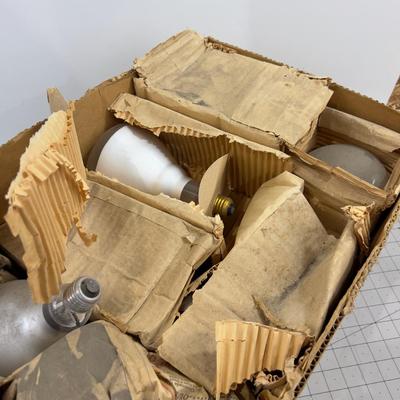 Box of New Old Stock FLOOD Light Bulbs