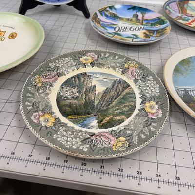 6 Plates, Various Kinds 