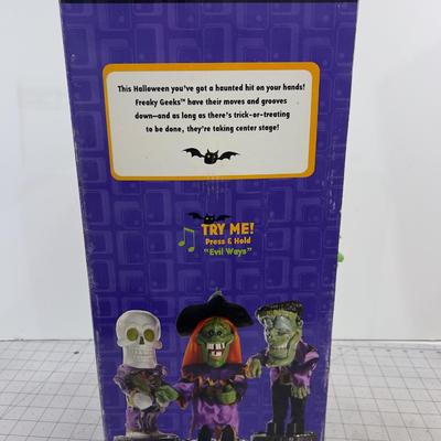 Freaky Geeks NEW Battery Operated Witch