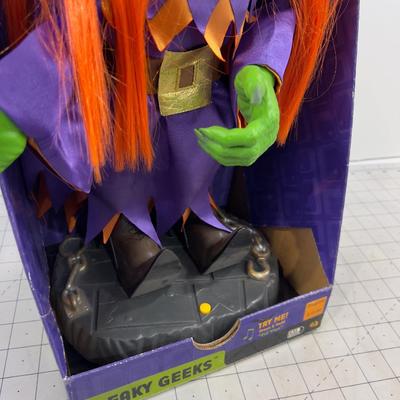 Freaky Geeks NEW Battery Operated Witch