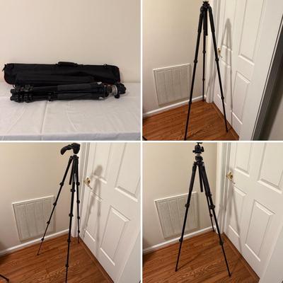 Two Manfrotto Tripods & One Induro Tripod (O-MG)