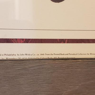 Four Framed Botanical Fruit Prints (L-KD)