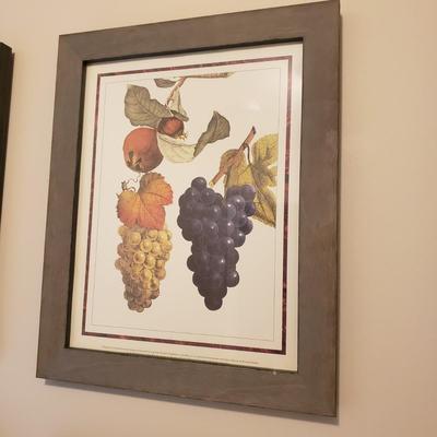 Four Framed Botanical Fruit Prints (L-KD)