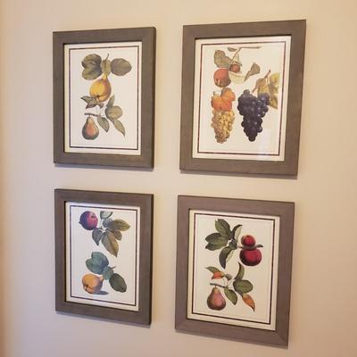 Four Framed Botanical Fruit Prints (L-KD)
