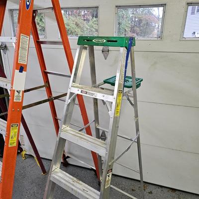 Three Werner Stepladders (DG-JS)