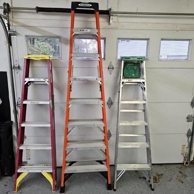 Three Werner Stepladders (DG-JS)