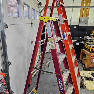 Three Werner Stepladders (DG-JS)