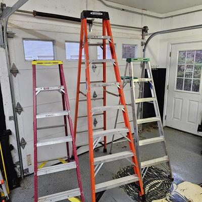Three Werner Stepladders (DG-JS)