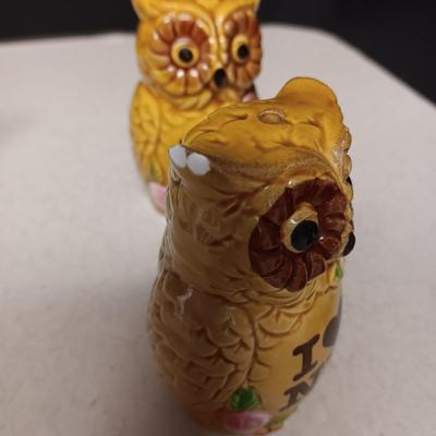 SOUVENIR SALT & PEPPER SHAKERS