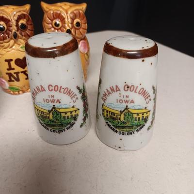 SOUVENIR SALT & PEPPER SHAKERS