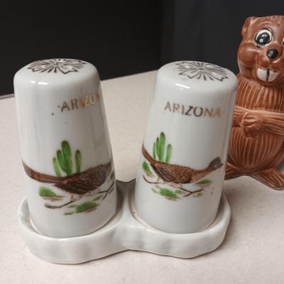 SOUVENIR SALT & PEPPER SHAKERS