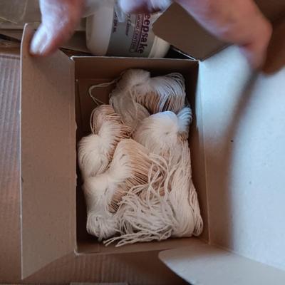 CLEAR LID BOXES, PRICE TAGS, JEWELRY BAGS & CLEANER PLUS ADHESIVE HANG TAGS