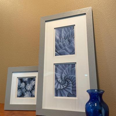 Unique succulent pictures with blue vase